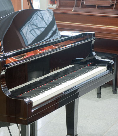 Yamaha C2 2.jpg